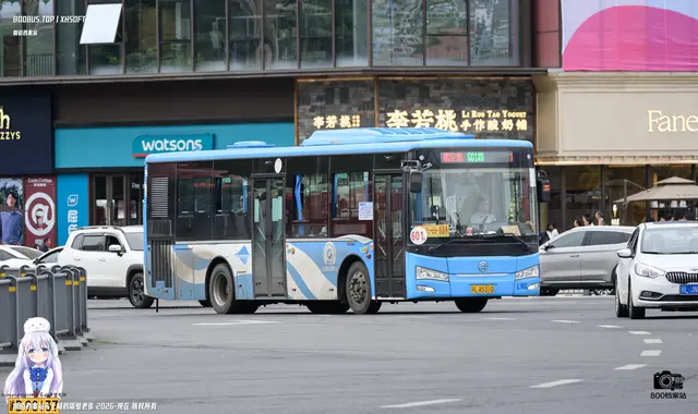 800BUS