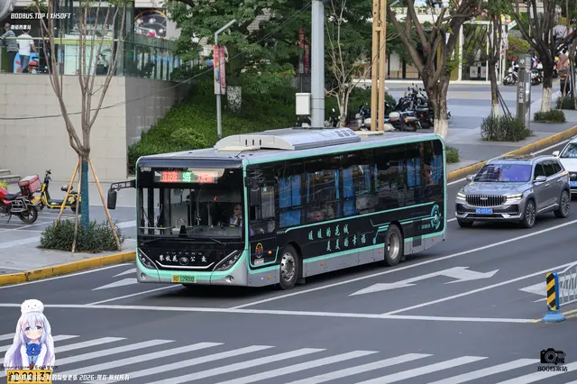 800BUS