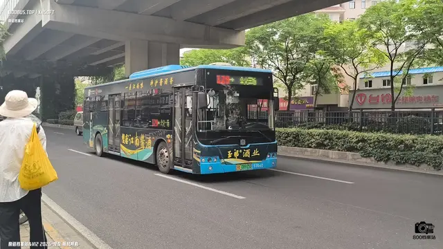 800BUS