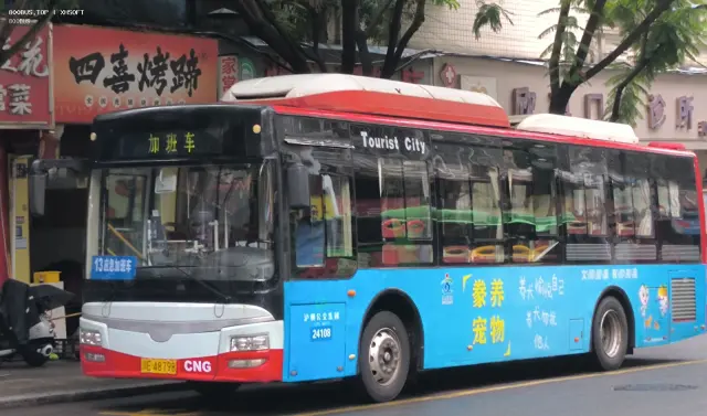 800BUS