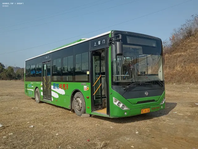 800BUS