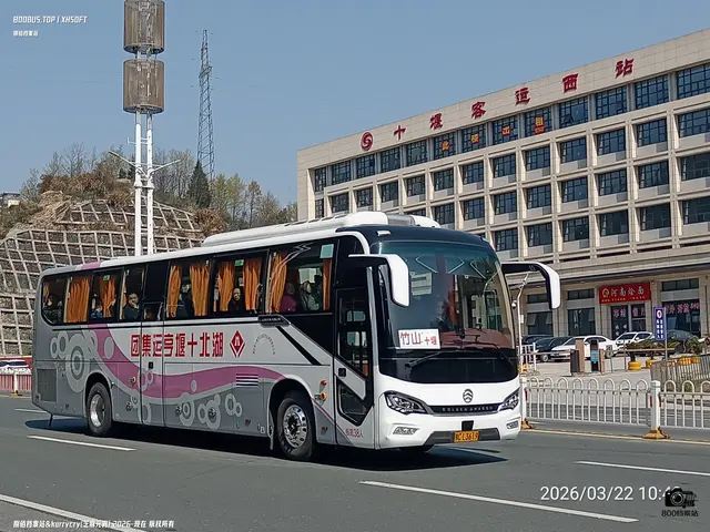 800BUS