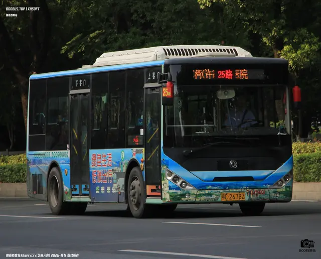 800BUS