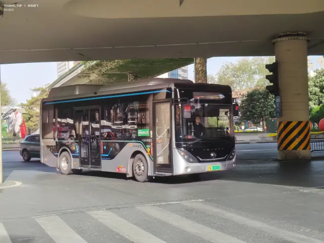 800BUS