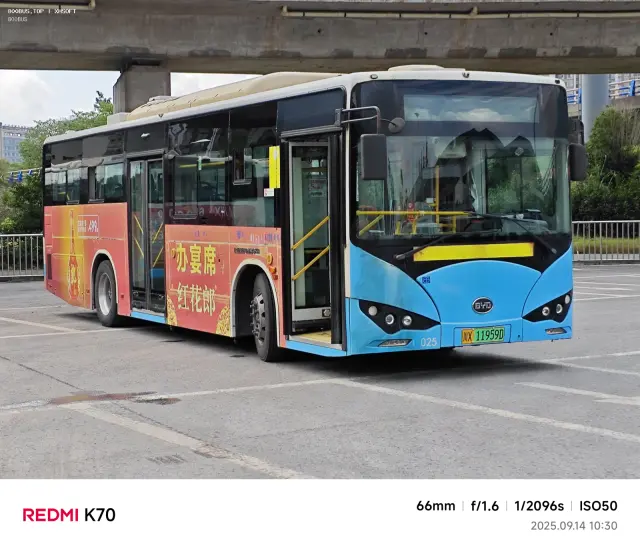 800BUS