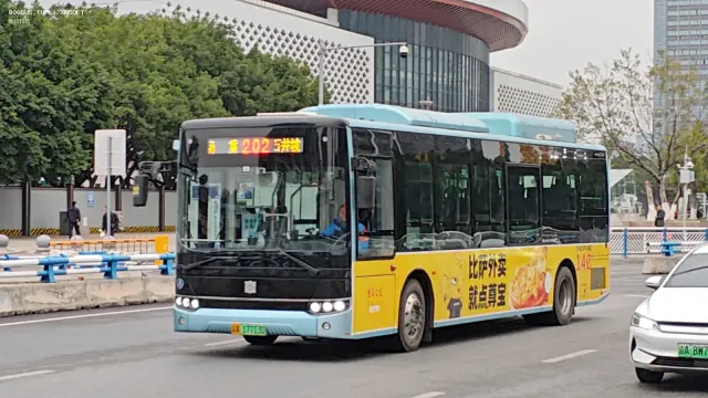 渝A 17713D