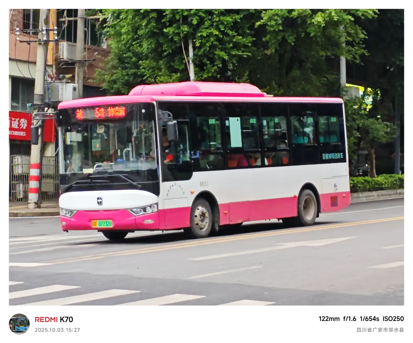 Bus Archive