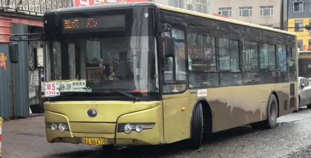 800BUS