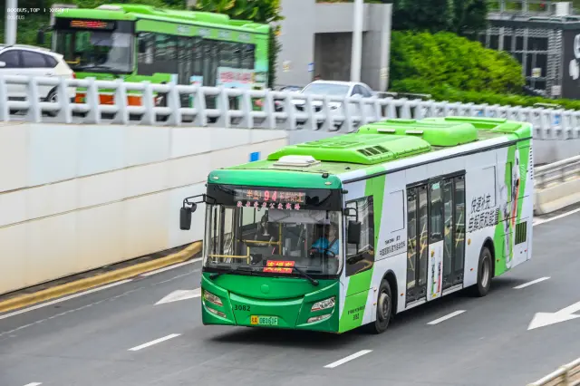 桂A 08161F