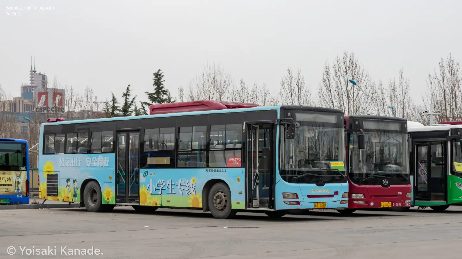 Bus Archive