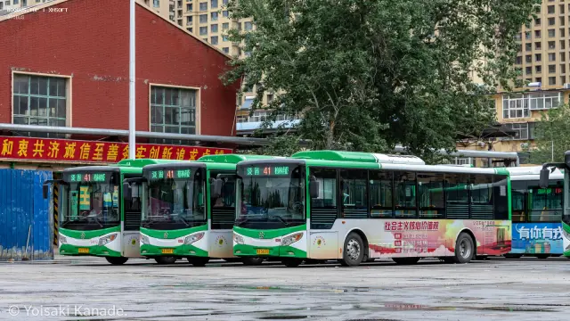 800BUS