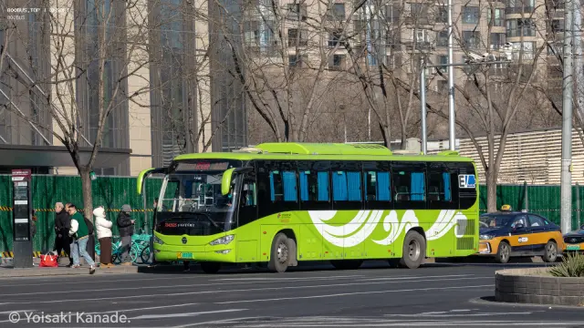 800BUS