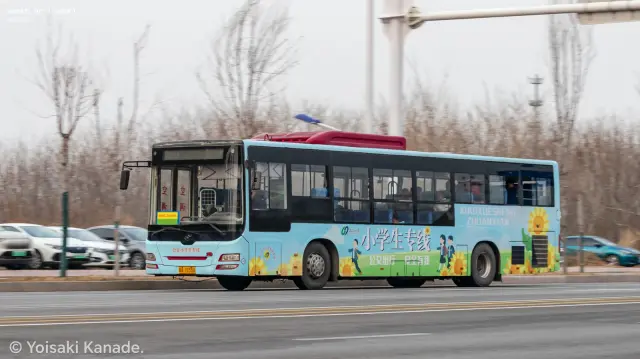 800BUS
