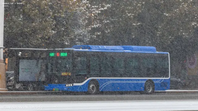 冀A 02289D