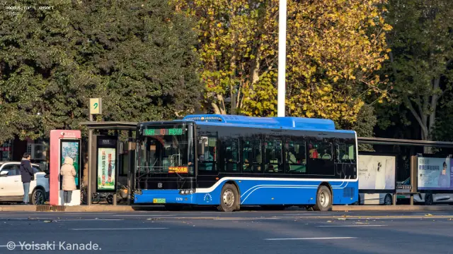 冀A 01872D