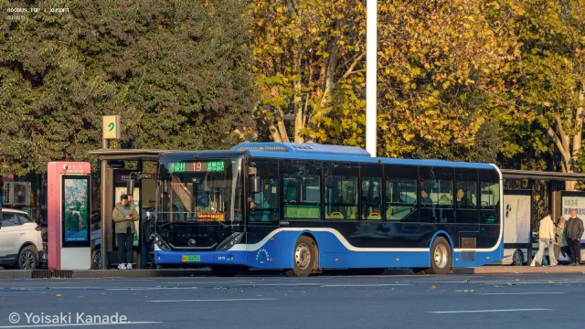 800BUS