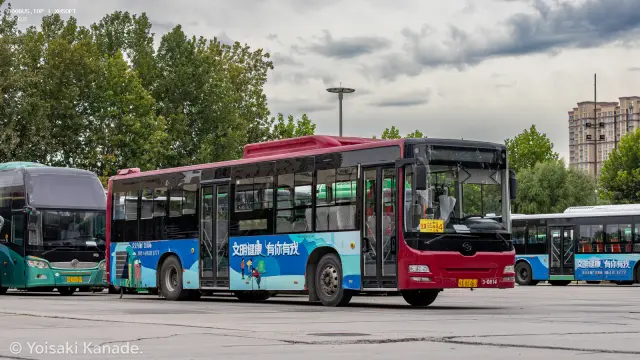 冀A 8546U