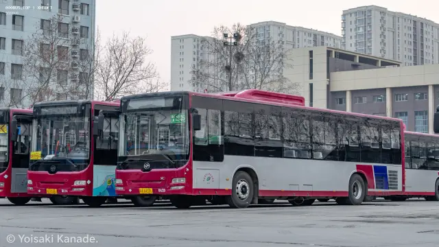 冀A 8439U