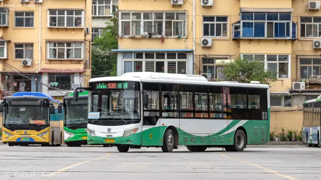 800BUS