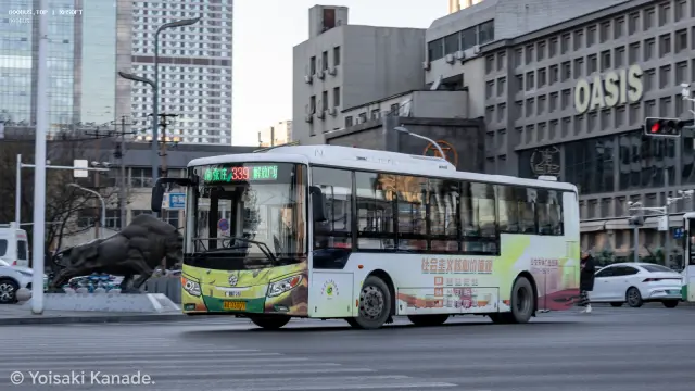 800BUS