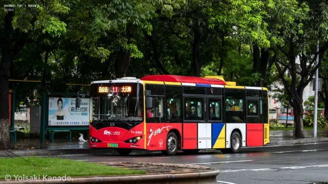 800BUS