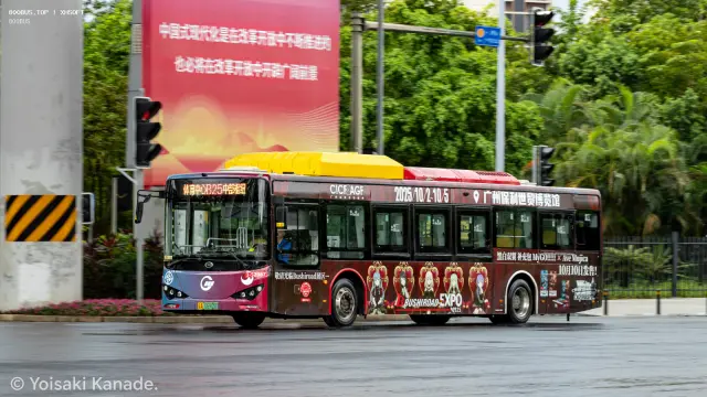 800BUS
