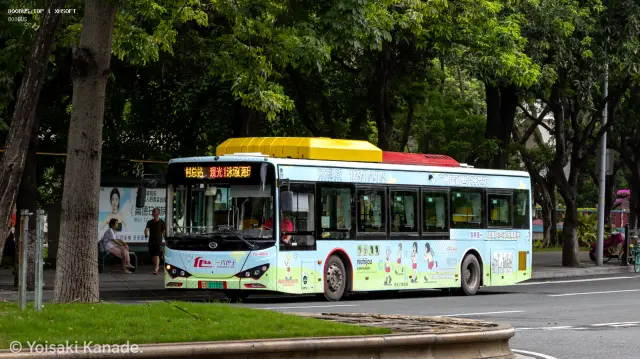800BUS