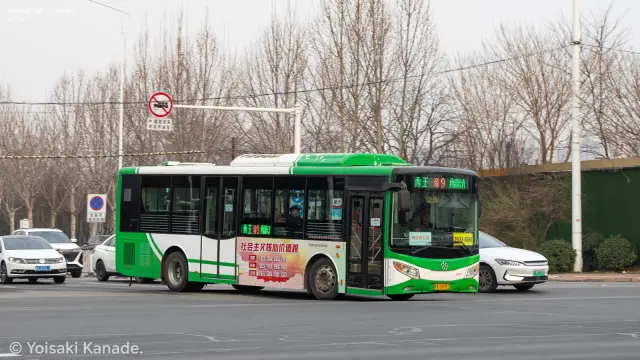 800BUS