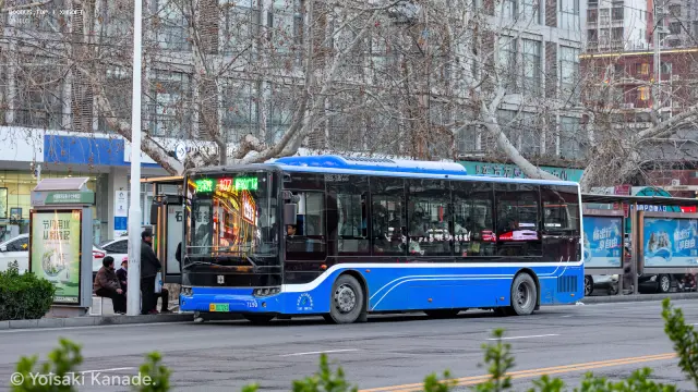 800BUS
