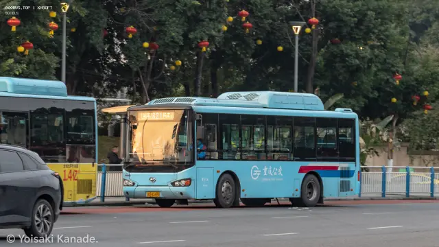 渝D 82695