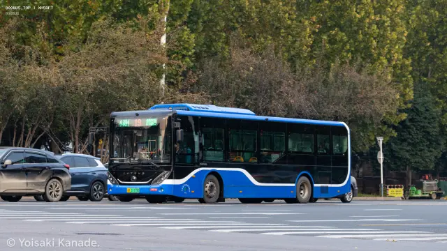 800BUS