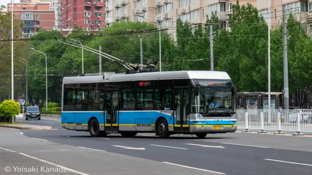 800BUS
