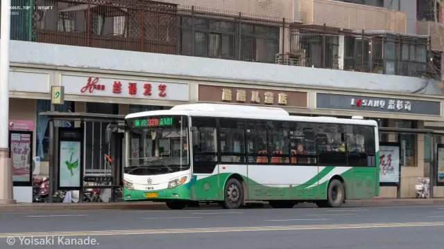 800BUS