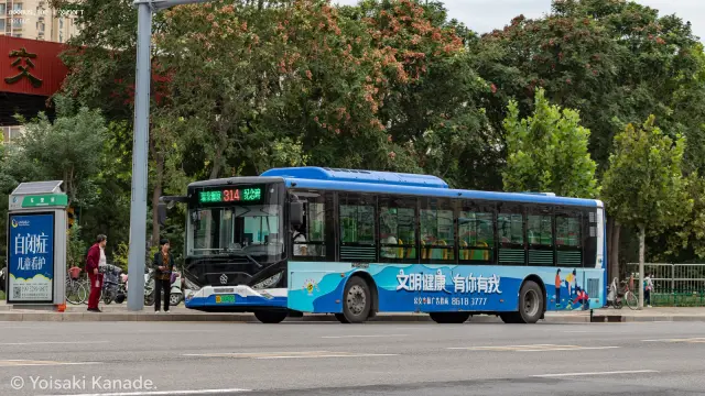 800BUS