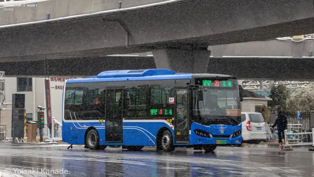 800BUS