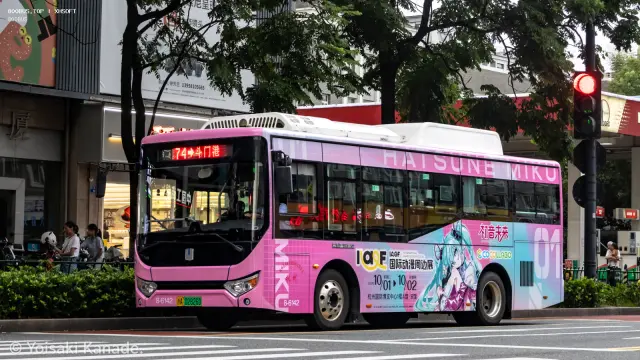 800BUS