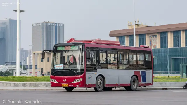 800BUS