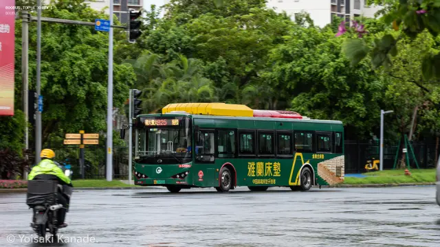 800BUS
