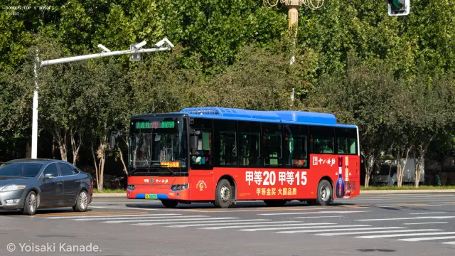 冀A 08605D