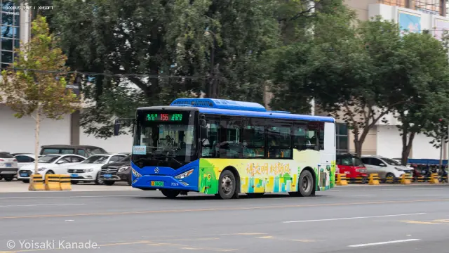 800BUS