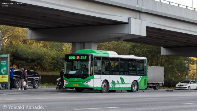 800BUS