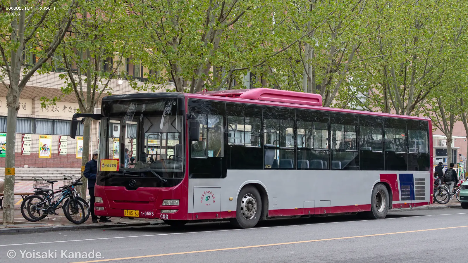 Bus Archive