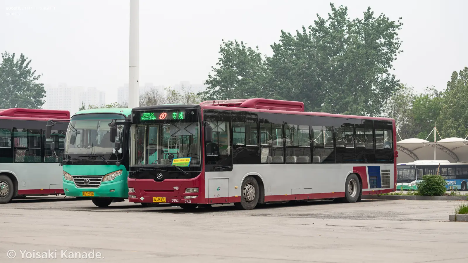 Bus Archive