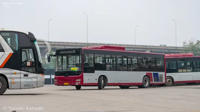 冀A 8496U