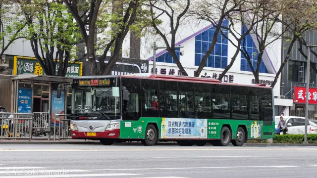 800BUS