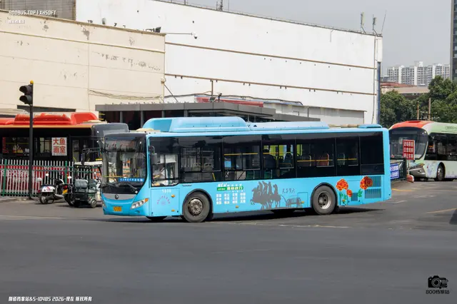 800BUS