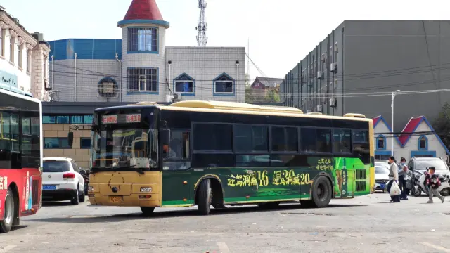 800BUS