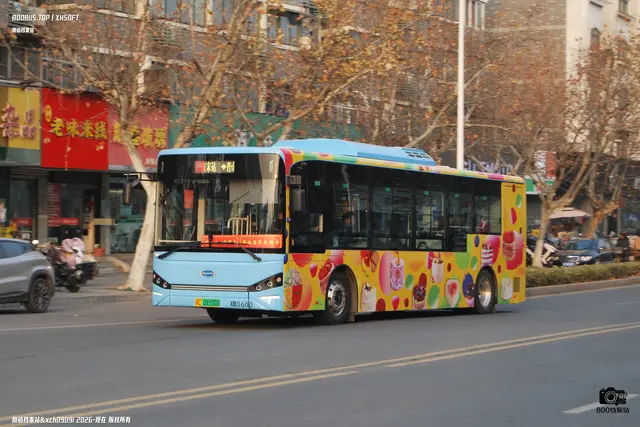 800BUS