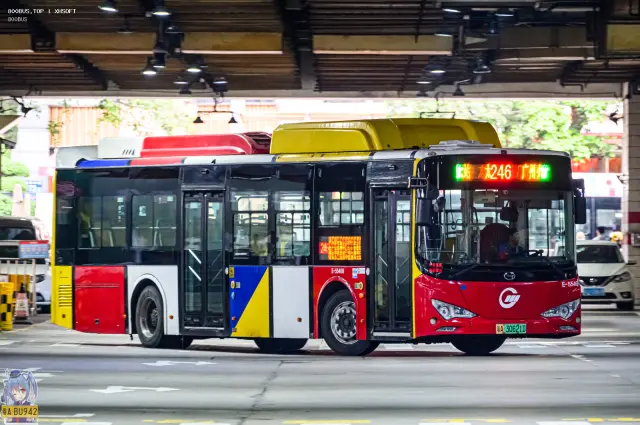 800BUS