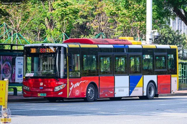 800BUS
